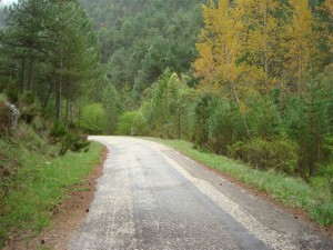 DSC00982