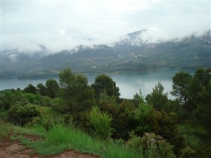 DSC00993