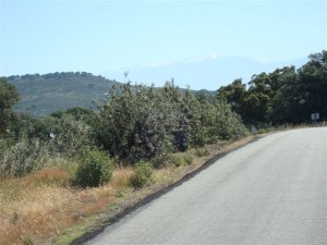 DSC01143