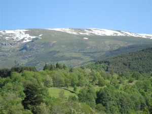 DSC01148