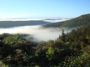 DSC01510