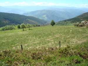 DSC01518
