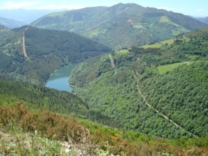 DSC01520